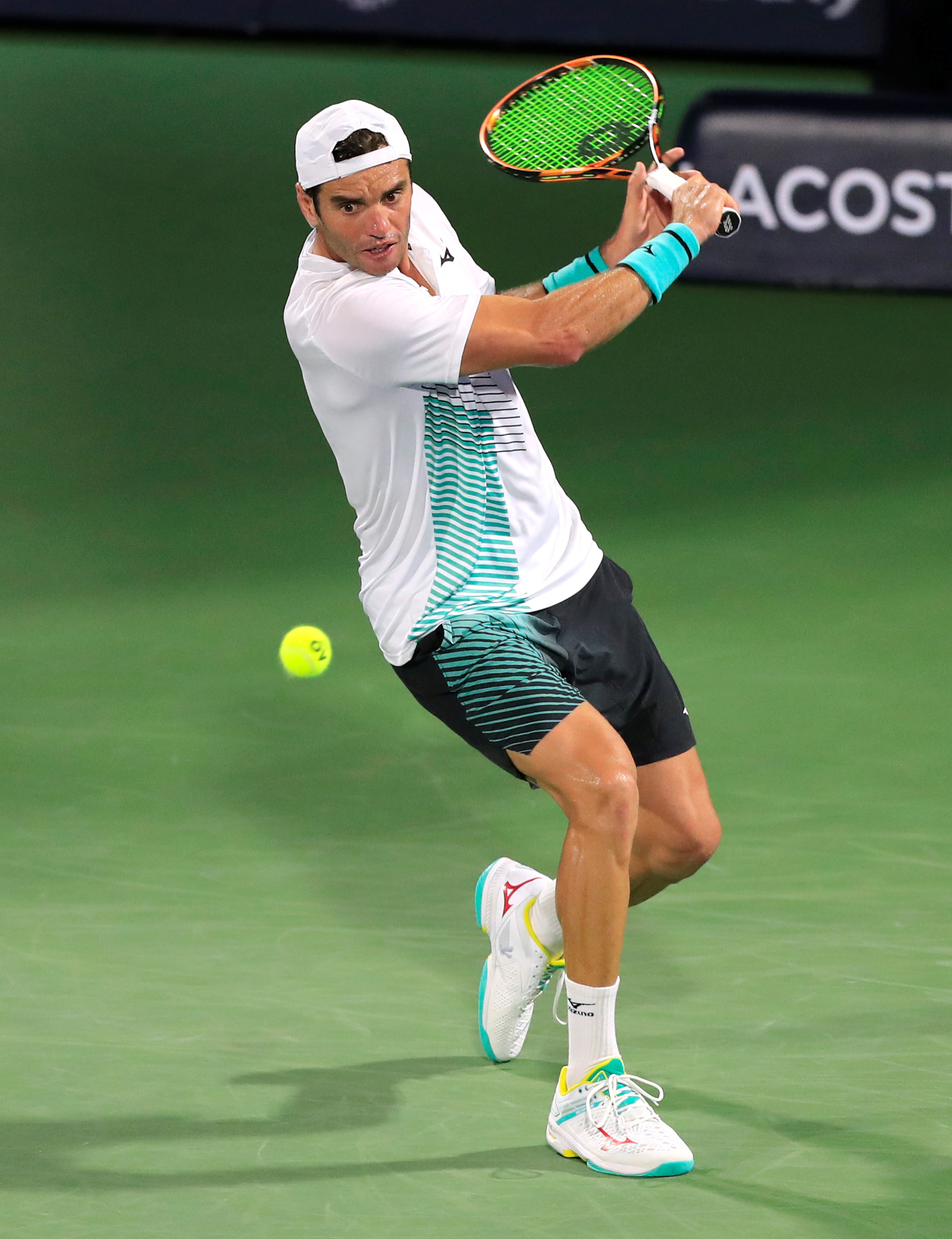 健康的状态 健康的状态